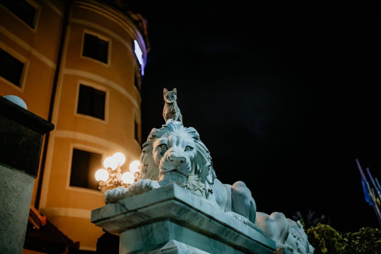 Hotel Coandi Arad Exterior photo